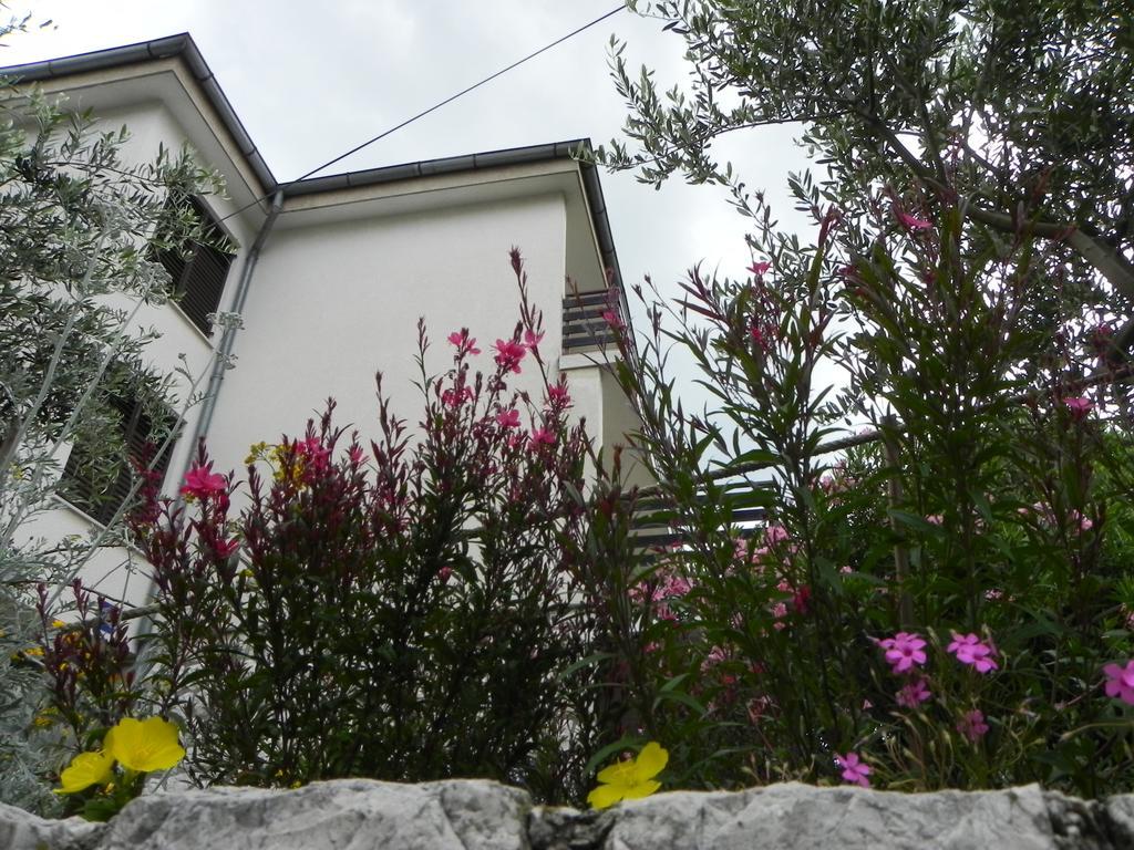 Apartments Katalenic Selce Ngoại thất bức ảnh