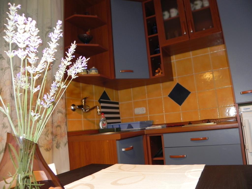 Apartments Katalenic Selce Ngoại thất bức ảnh