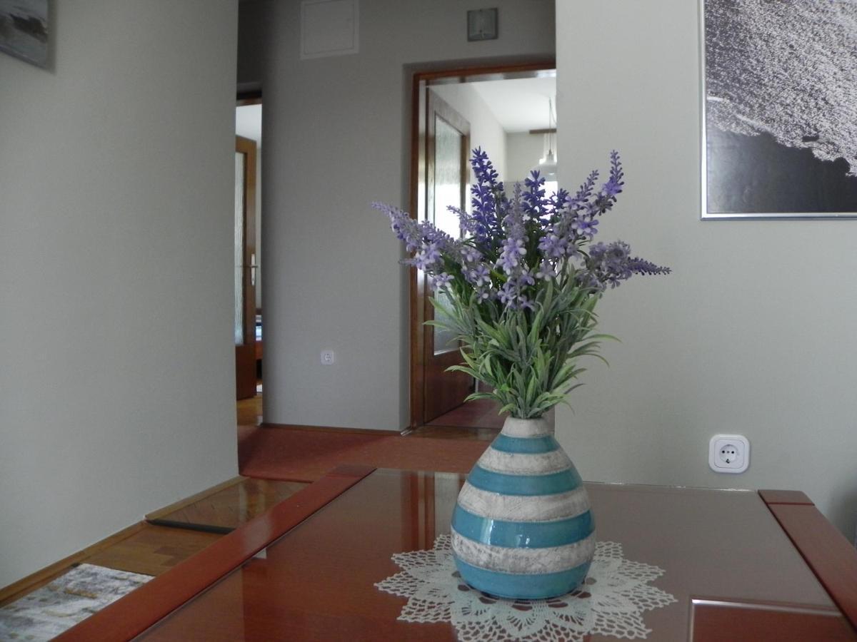 Apartments Katalenic Selce Ngoại thất bức ảnh